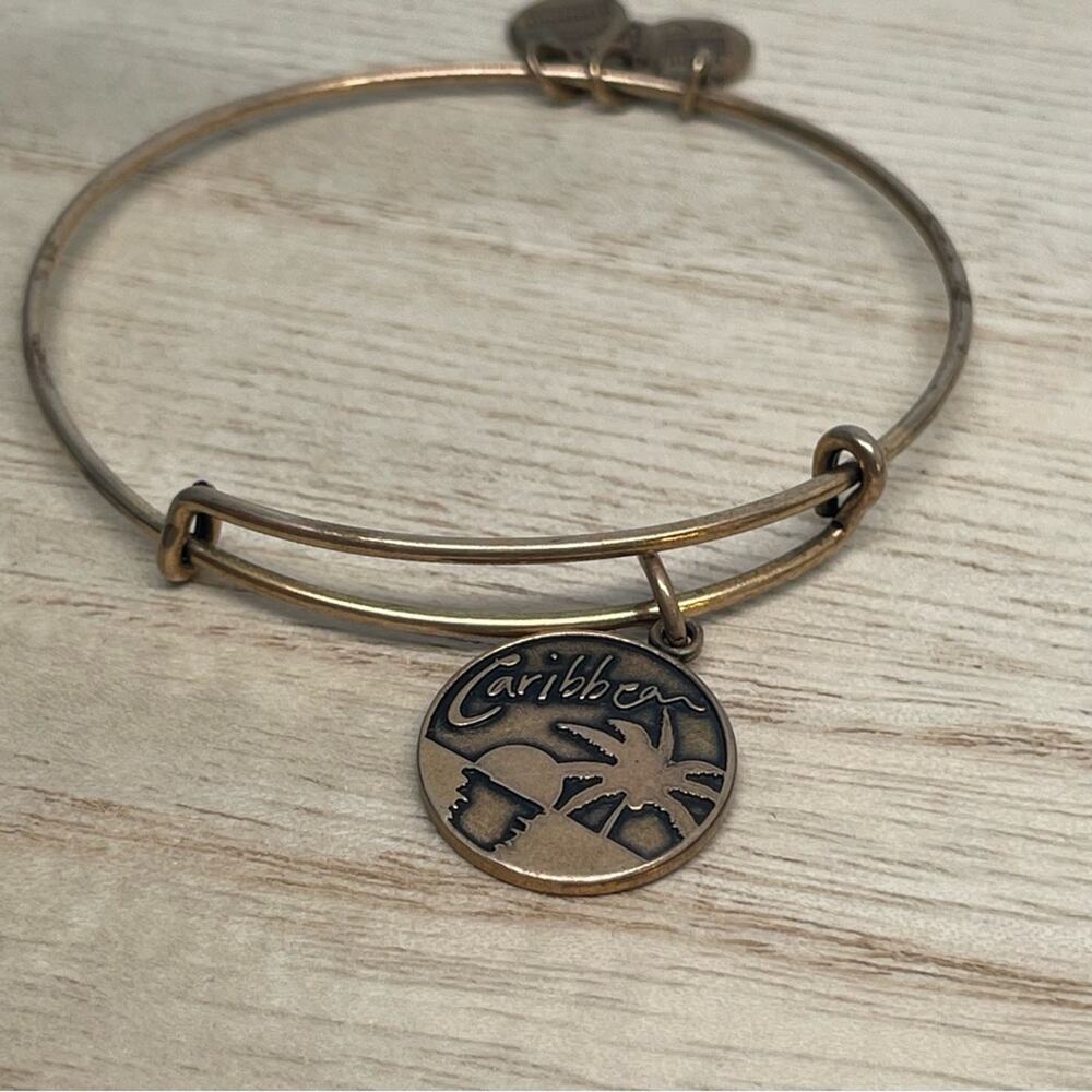 Alex and Ani Caribbean Charm Bracelet